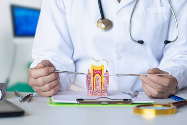 Best Weekend Emergency Dentist in Fountainhead Orchard Hills, MD
